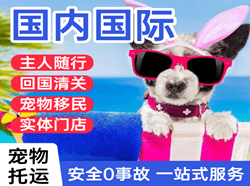 武宿机场快运国际宠物托运 【国